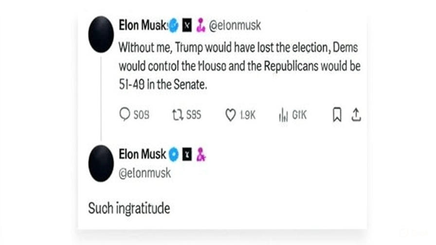 Elon musk's x post
